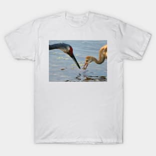 Sandhill crane parent with chick T-Shirt